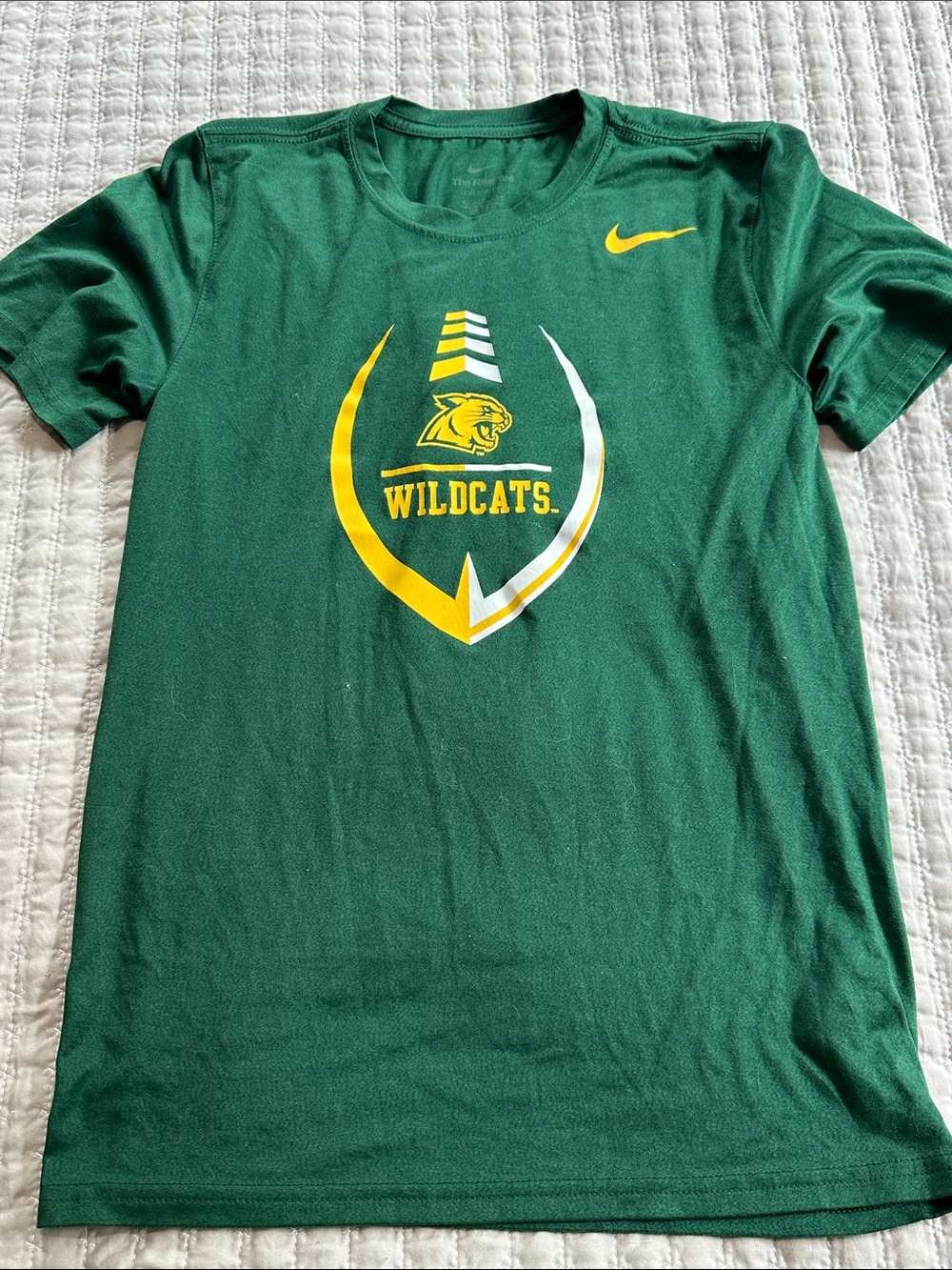 Northern Michigan Wildcats